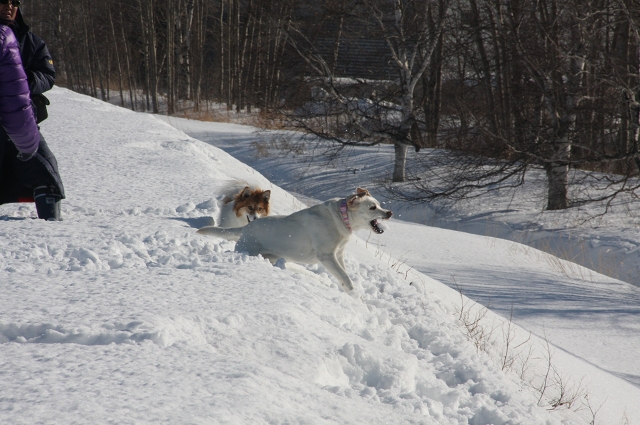 ファイル 35-5.jpg