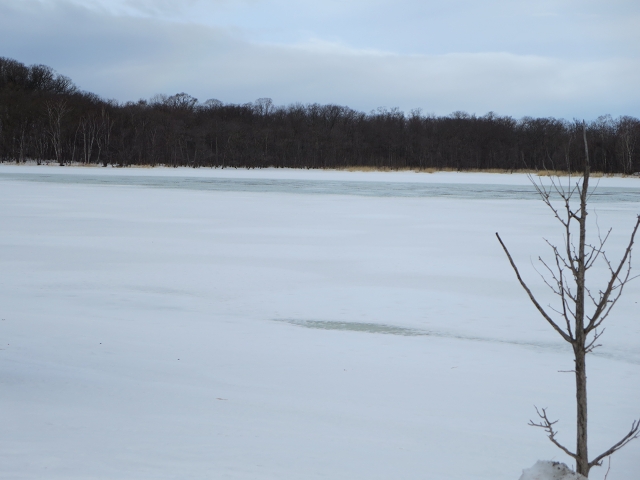 ファイル 36-3.jpg