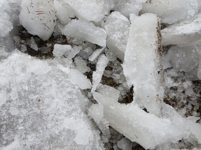 ファイル 37-3.jpg