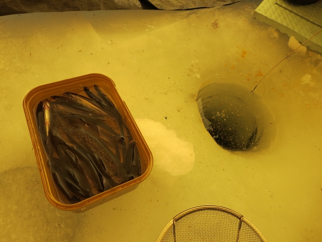 ファイル 38-4.jpg