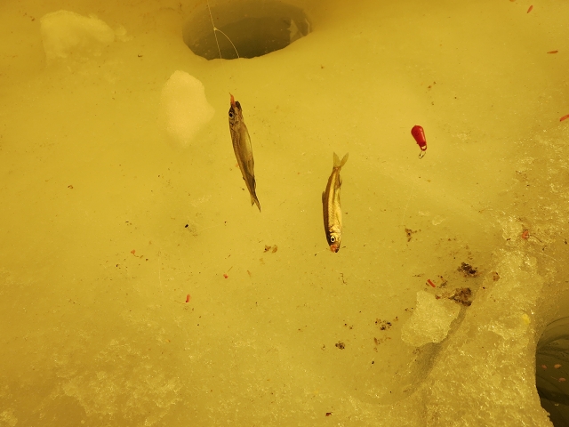 ファイル 38-5.jpg