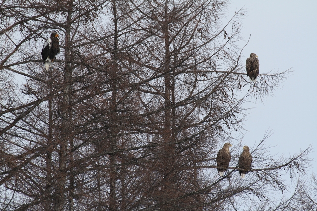 ファイル 4-2.jpg