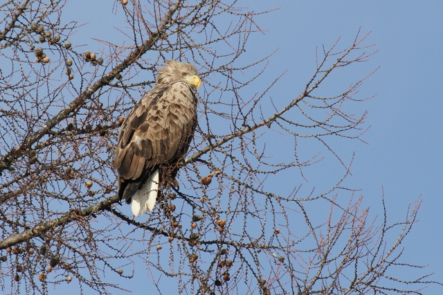 ファイル 4-5.jpg