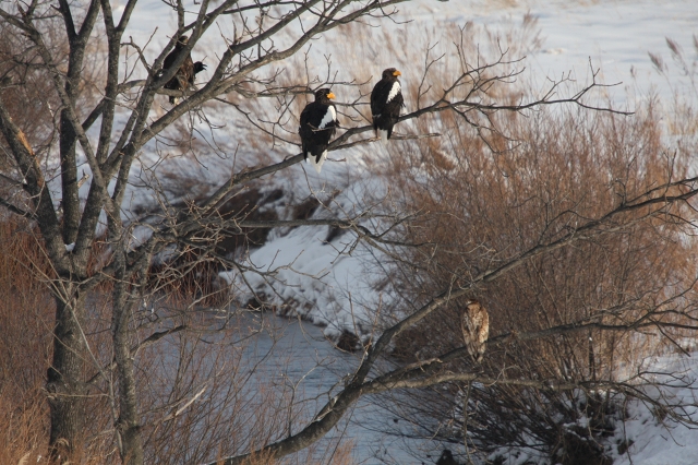 ファイル 4-8.jpg