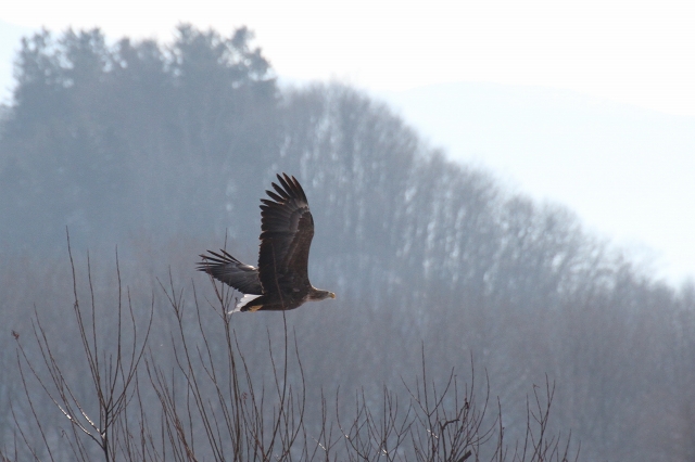 ファイル 4-9.jpg