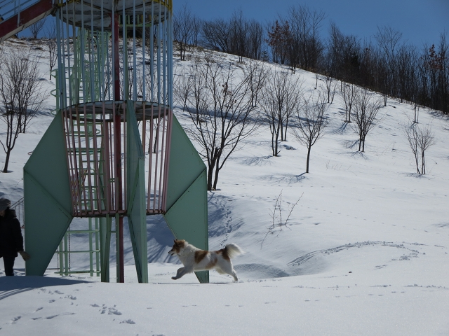 ファイル 40-2.jpg