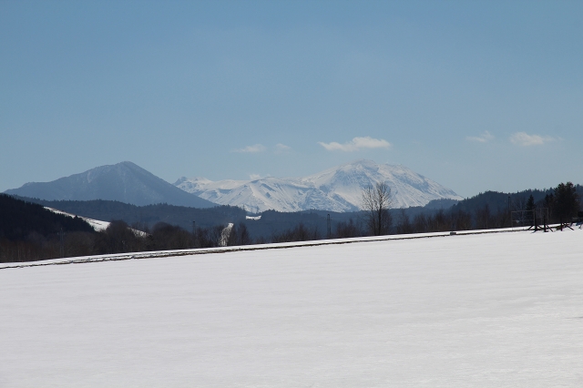 ファイル 41-1.jpg