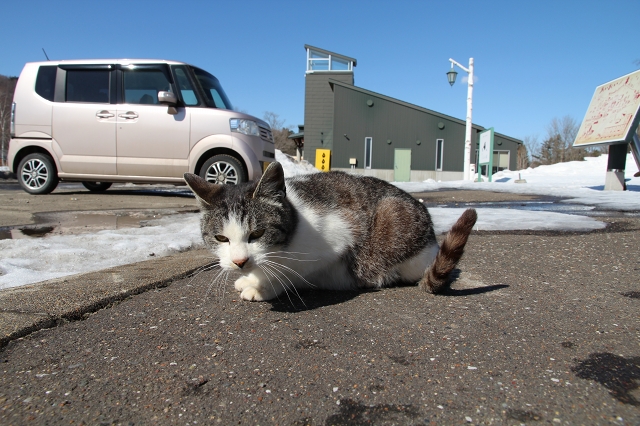 ファイル 41-8.jpg