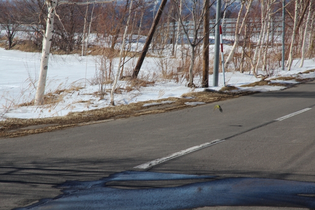 ファイル 42-1.jpg