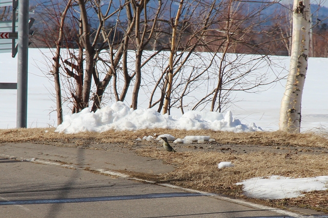 ファイル 42-5.jpg