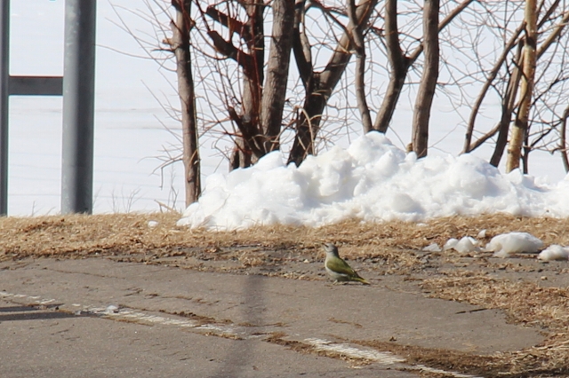 ファイル 42-6.jpg