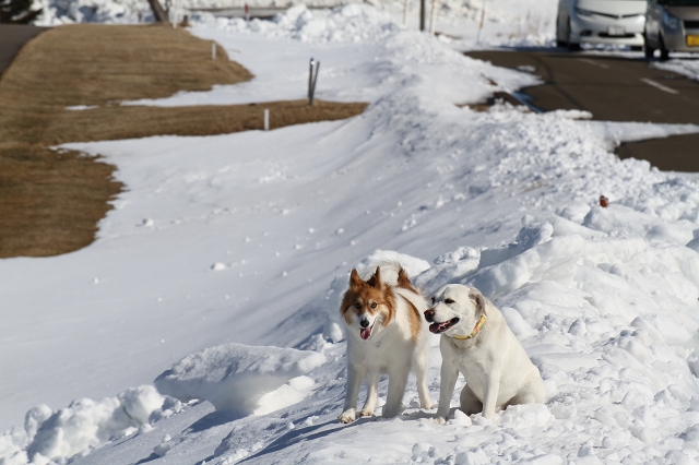 ファイル 43-4.jpg