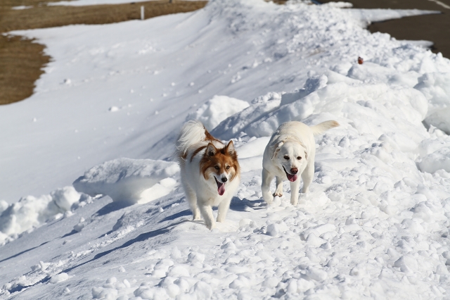 ファイル 43-5.jpg