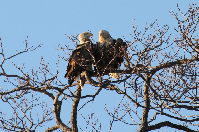 ファイル 43-9.jpg