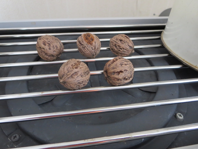 ファイル 45-1.jpg