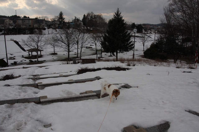 ファイル 45-3.jpg