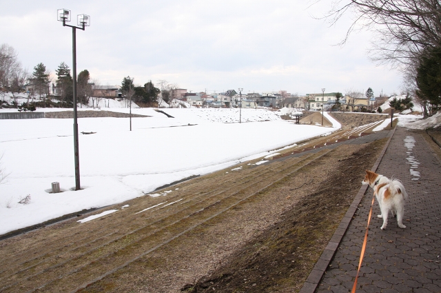 ファイル 45-4.jpg