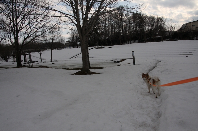 ファイル 45-5.jpg