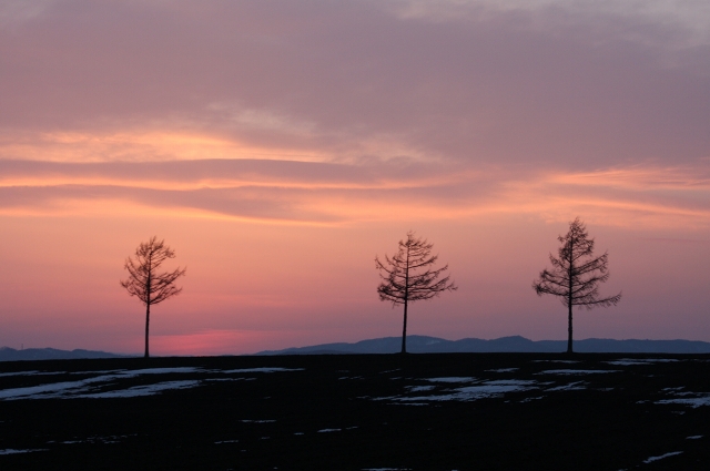 ファイル 46-6.jpg