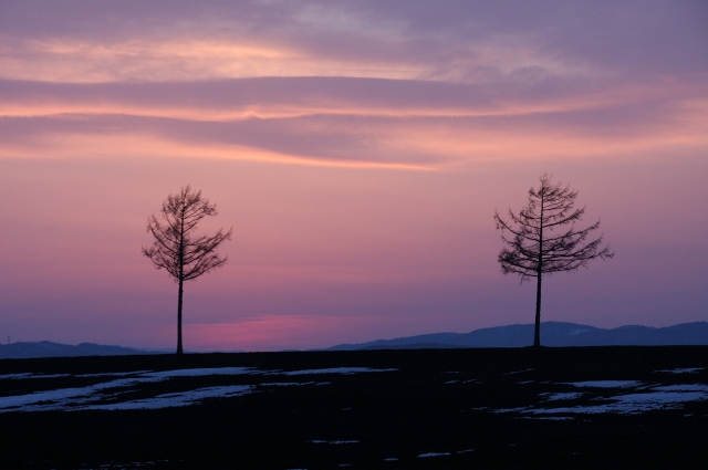 ファイル 46-7.jpg