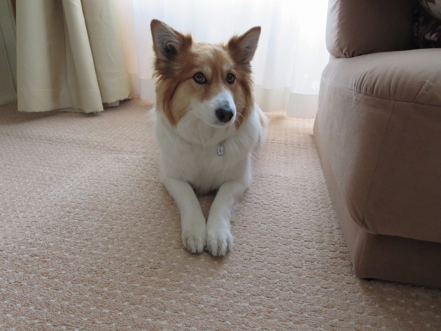 ファイル 48-1.jpg