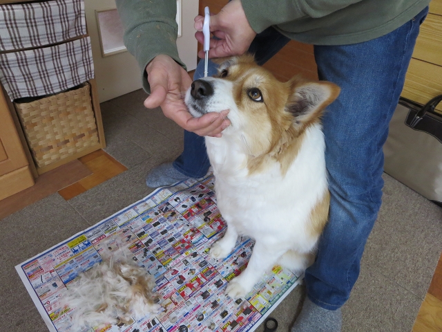 ファイル 48-2.jpg