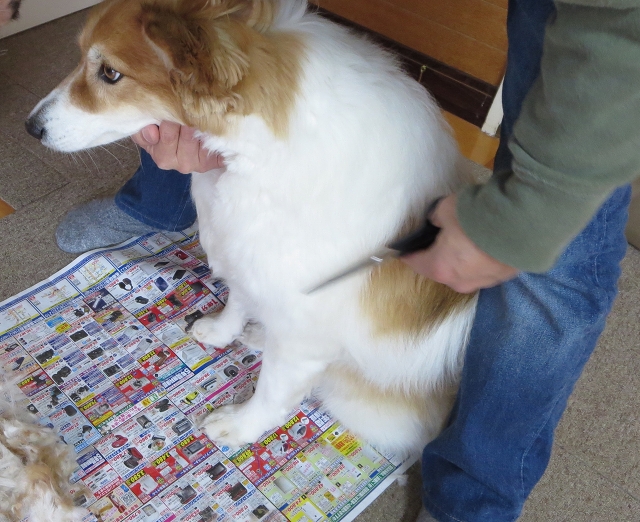 ファイル 48-3.jpg