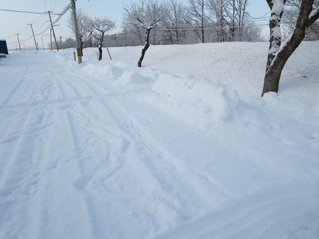 ファイル 5-7.jpg