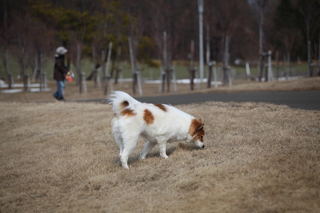 ファイル 50-1.jpg