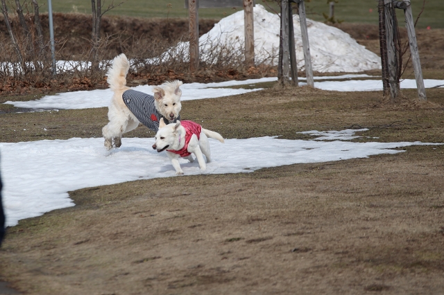 ファイル 50-5.jpg