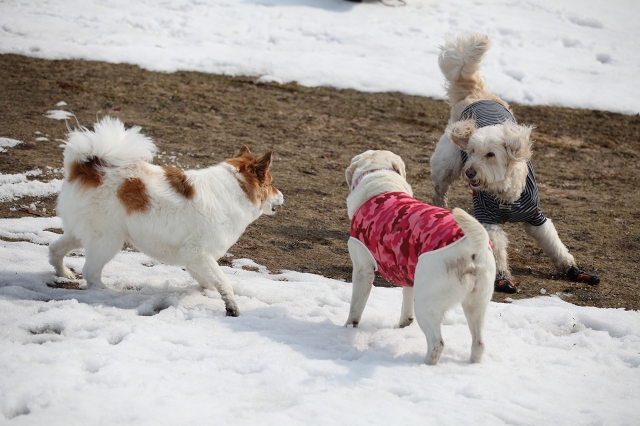 ファイル 50-6.jpg