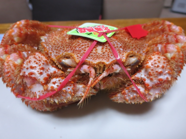 ファイル 50-8.jpg