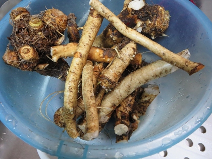 ファイル 52-5.jpg