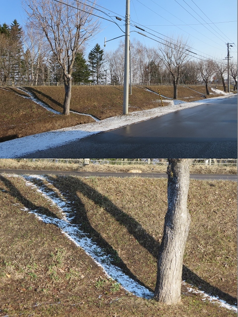 ファイル 53-1.jpg