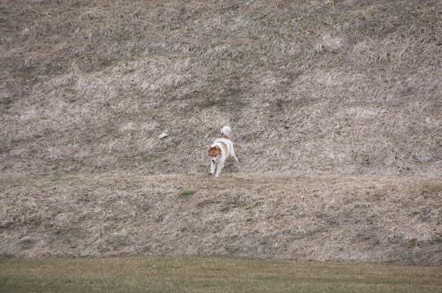 ファイル 53-9.jpg