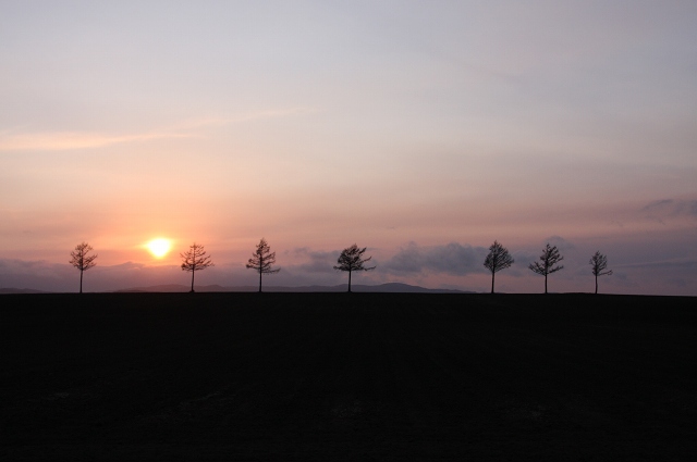 ファイル 55-2.jpg