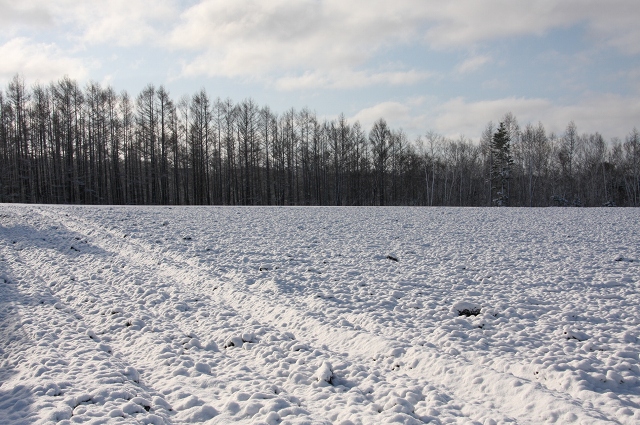 ファイル 55-7.jpg