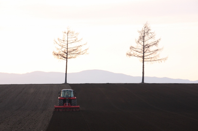 ファイル 56-2.jpg