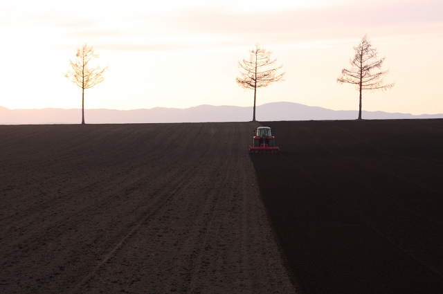 ファイル 56-3.jpg