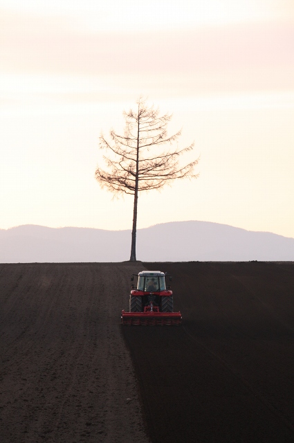 ファイル 56-4.jpg