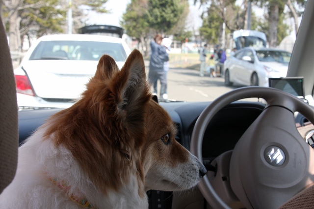 ファイル 59-3.jpg