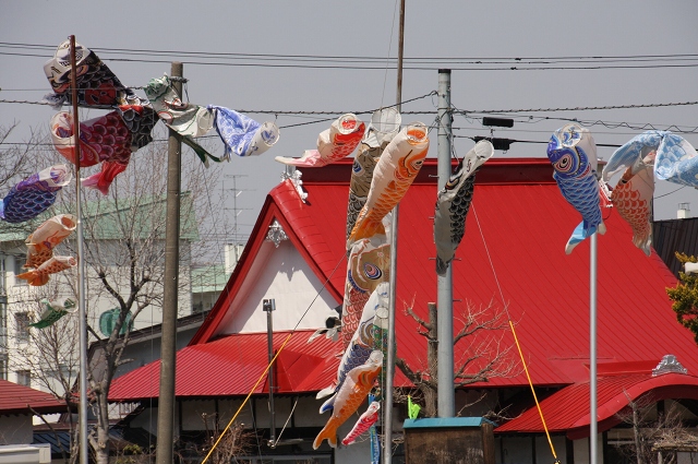 ファイル 59-5.jpg