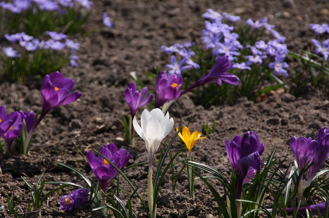 ファイル 59-6.jpg