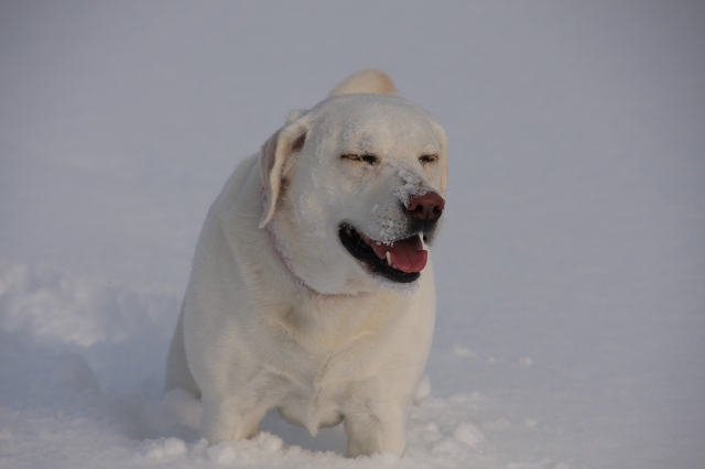 ファイル 6-4.jpg