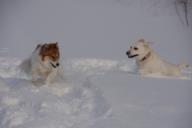 ファイル 6-5.jpg