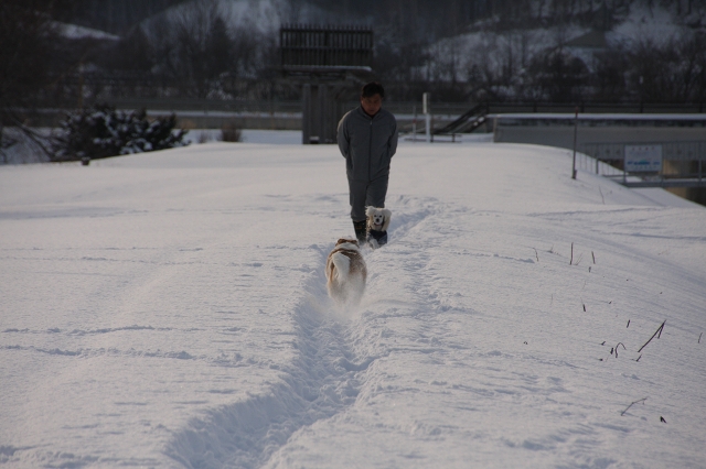 ファイル 6-8.jpg