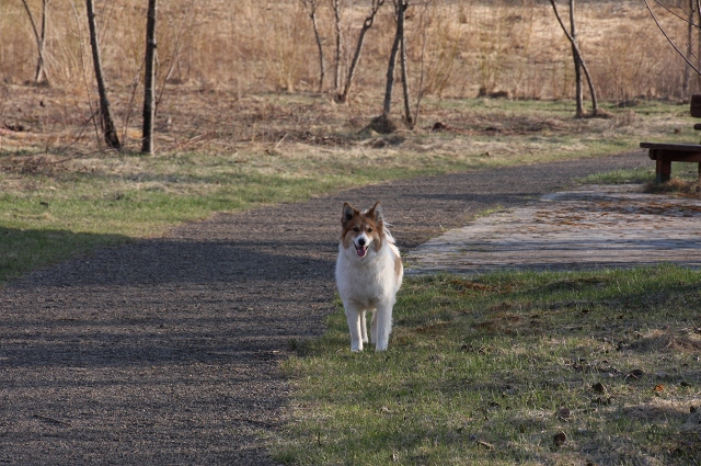 ファイル 61-3.jpg