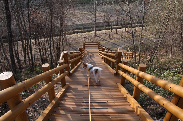 ファイル 61-4.jpg