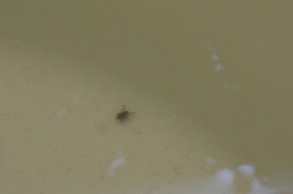 ファイル 61-7.jpg