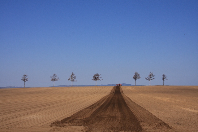 ファイル 62-1.jpg